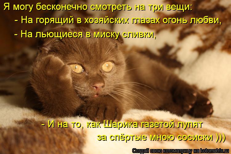 Котоматрица: Я могу бесконечно смотреть на три вещи: - На горящий в хозяйских глазах огонь любви, - На льющиеся в миску сливки, - И на то, как Шарика газетой 