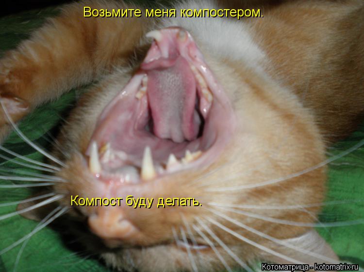Котоматрица: Возьмите меня компостером. Компост буду делать.
