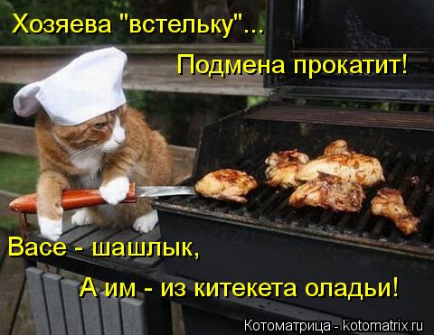 Котоматрица: Хозяева "встельку"...  Подмена прокатит!  Васе - шашлык, А им - из китекета оладьи!