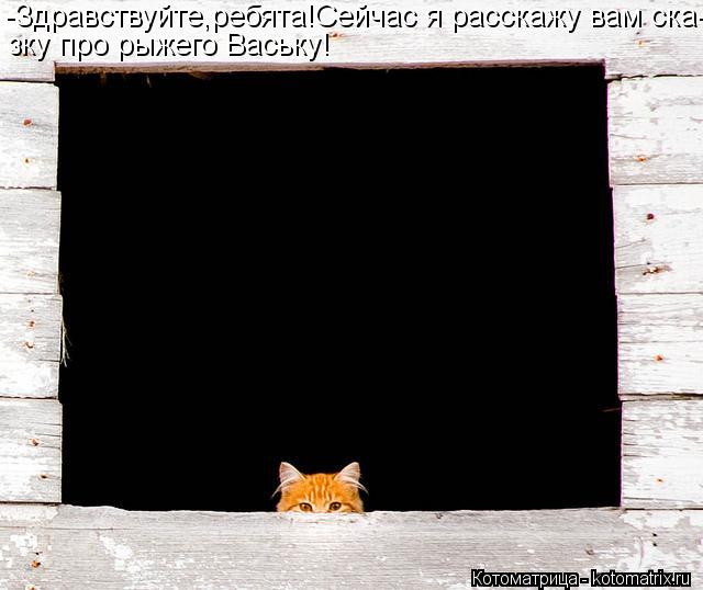 Котоматрица: -Здравствуйте,ребята!Сейчас я расскажу вам ска- зку про рыжего Ваську!