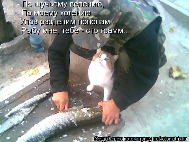 Котоматрица: Улов разделим пополам -  Рыбу мне, тебе - сто грамм... - По щучьему велению,  По моему хотению