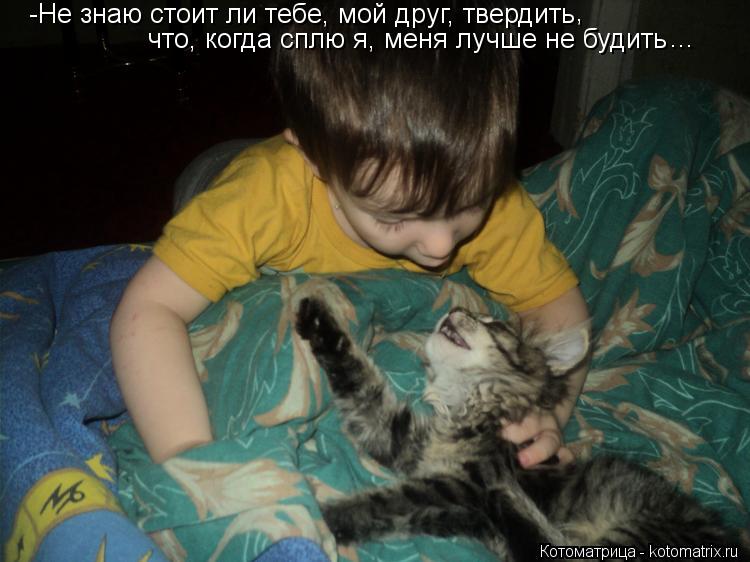 Котоматрица: -Не знаю стоит ли тебе, мой друг, твердить , что, когда сплю я, меня лучше не будить ...