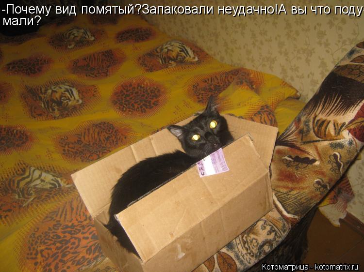 Котоматрица: -Почему вид помятый?Запаковали неудачно!А вы что поду- мали?