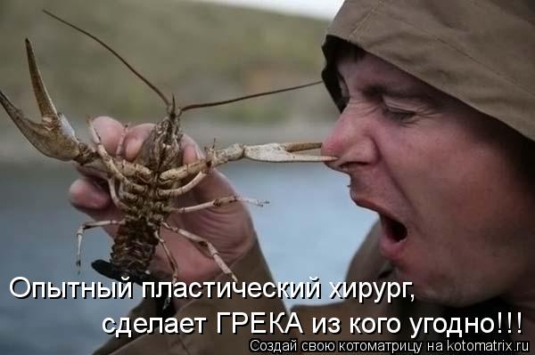 Котоматрица: Опытный пластический хирург, сделает ГРЕКА из кого угодно!!!