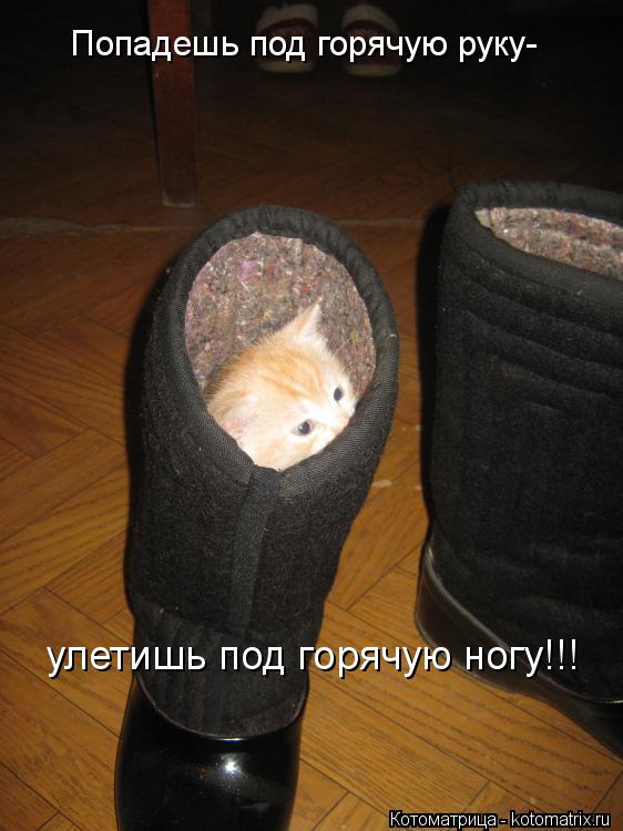 Котоматрица: Попадешь под горячую руку- улетишь под горячую ногу!!!