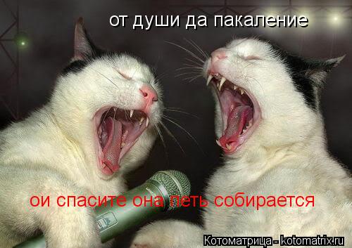 Котоматрица: от души да пакаление  ои спасите она петь собирается