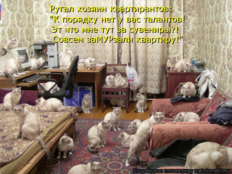Котоматрица: Ругал хозяин квартирантов: "К порядку нет у вас талантов! Эт что мне тут за сувениры?! Совсем заМУРзали квартиру!"