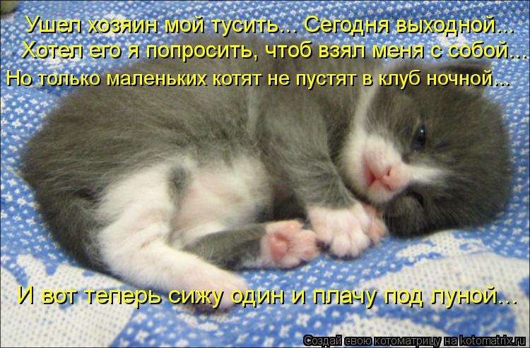 Котоматрица: Ушел хозяин мой тусить... Сегодня выходной... Хотел его я попросить, чтоб взял меня с собой... Но только маленьких котят не пустят в клуб ночной