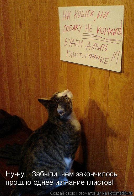 Котоматрица: Ну-ну..  Забыли, чем закончилось прошлогоднее изгнание глистов!