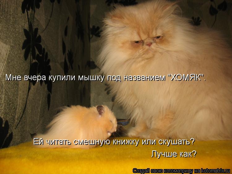 Котоматрица: Мне вчера купили мышку под названием "ХОМЯК". Ей читать смешную книжку или скушать?  Лучше как?
