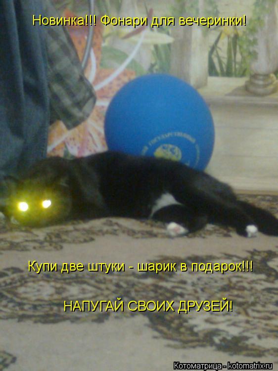 Котоматрица: Новинка!!! Фонари для вечеринки! Купи две штуки - шарик в подарок!!! НАПУГАЙ СВОИХ ДРУЗЕЙ!