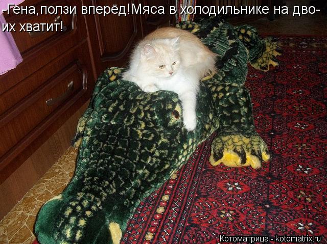 Котоматрица: -Гена,ползи вперёд!Мяса в холодильнике на дво- их хватит!