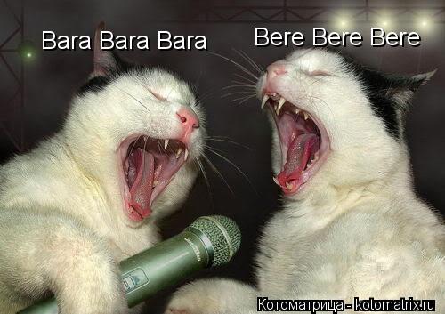 Котоматрица: Bara Bara Bara Bere Bere Bere