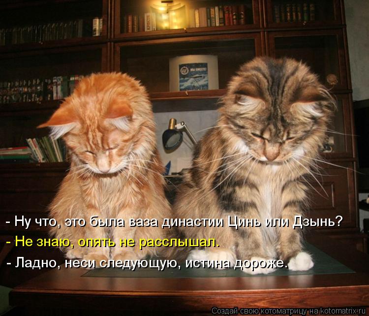Котоматрица: - Ну что, это была ваза династии Цинь или Дзынь? - Не знаю, опять не расслышал. - Ладно, неси следующую, истина дороже.