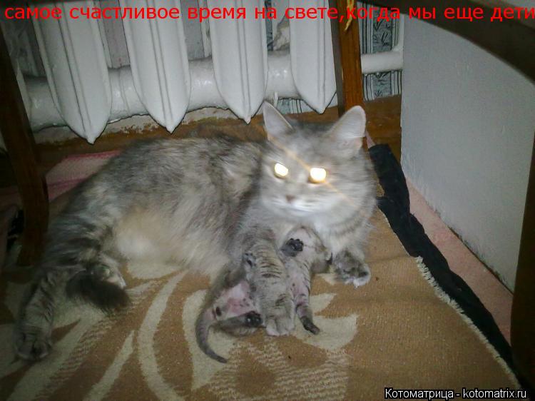 Котоматрица: самое счастливое время на свете,когда мы еще дети
