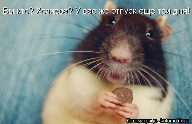 Котоматрица: Вы кто? Хозяева? У вас же отпуск еще три дня!