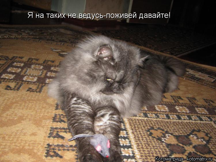 Котоматрица: Я на таких не ведусь-поживей давайте!