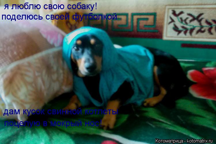 Котоматрица: я люблю свою собаку! поделюсь своей футболкой дам кусок свинной котлеты поцелую в мокрый нос!