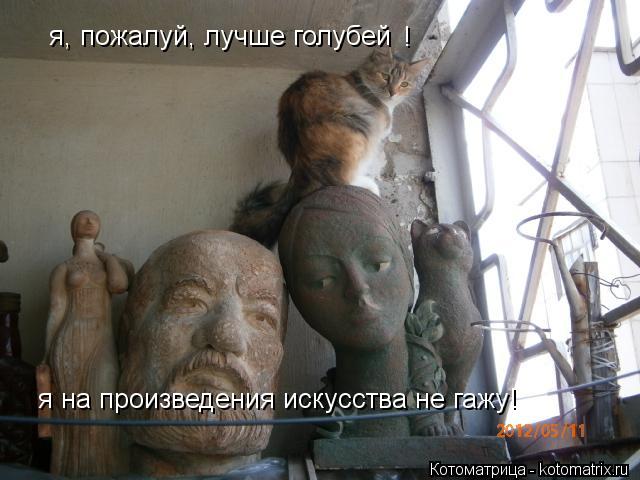 Котоматрица: я, пожалуй, лучше голубей я на произведения искусства не гажу! !