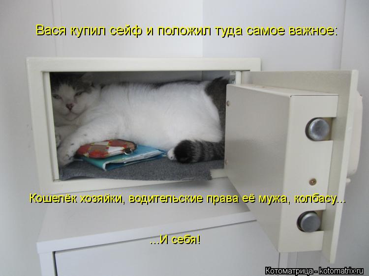 Котоматрица: Вася купил сейф и положил туда самое важное: Кошелёк хозяйки, водительские права её мужа, колбасу... ...И себя!