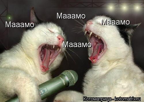 Котоматрица: Мааамо Мааамо Мааамо Мааамо