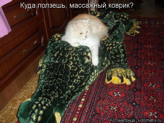 Котоматрица: Куда ползешь, массажный коврик?