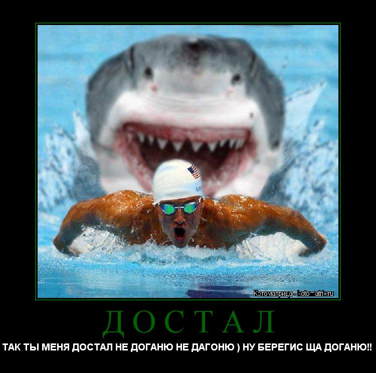 Котоматрица: ДОСТАЛ ТАК ТЫ МЕНЯ ДОСТАЛ НЕ ДОГАНЮ НЕ ДАГОНЮ ) НУ БЕРЕГИС ЩА ДОГАНЮ!! 