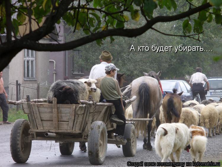 Котоматрица: А кто будет убирать....