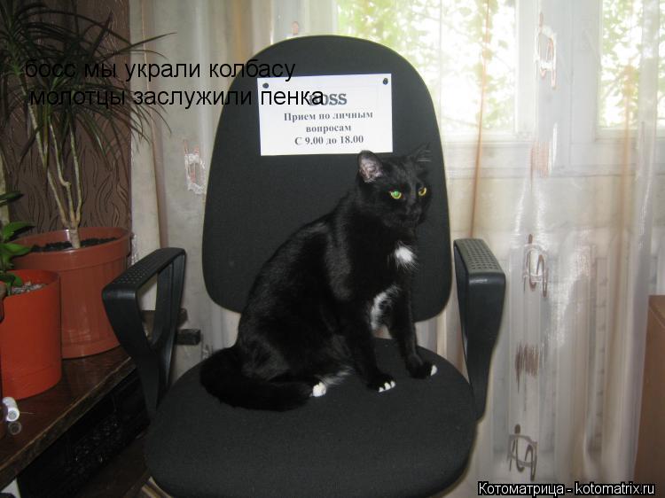 босс мы украли колбасу босс мы украли колбасу молотцы заслужили пенка... Котоматрица: босс мы украли колбасу босс мы украли колбасу молотцы заслужили пенка