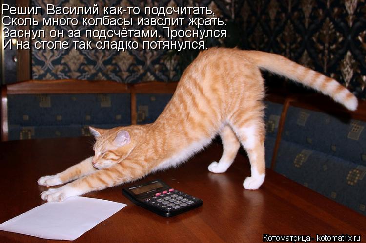 Котоматрица: Решил Василий как-то подсчитать, Сколь много колбасы изволит жрать. Заснул он за подсчётами.Проснулся И на столе так сладко потянулся.