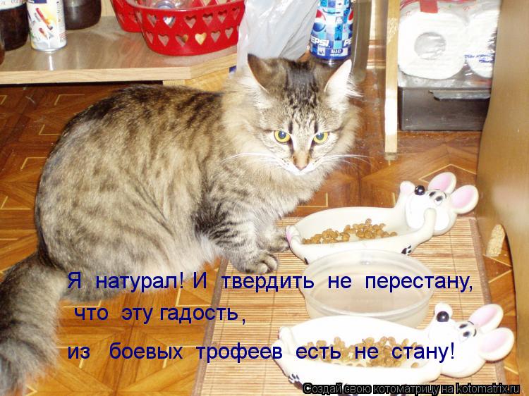 Котоматрица: Я  натурал! И  твердить  не  перестану, что  эту гадость  из   боевых  трофеев  есть  не  стану! ,