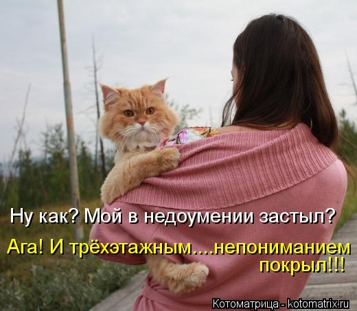 Котоматрица: покрыл!!! Ага! И трёхэтажным....непониманием Ну как? Мой в недоумении застыл?