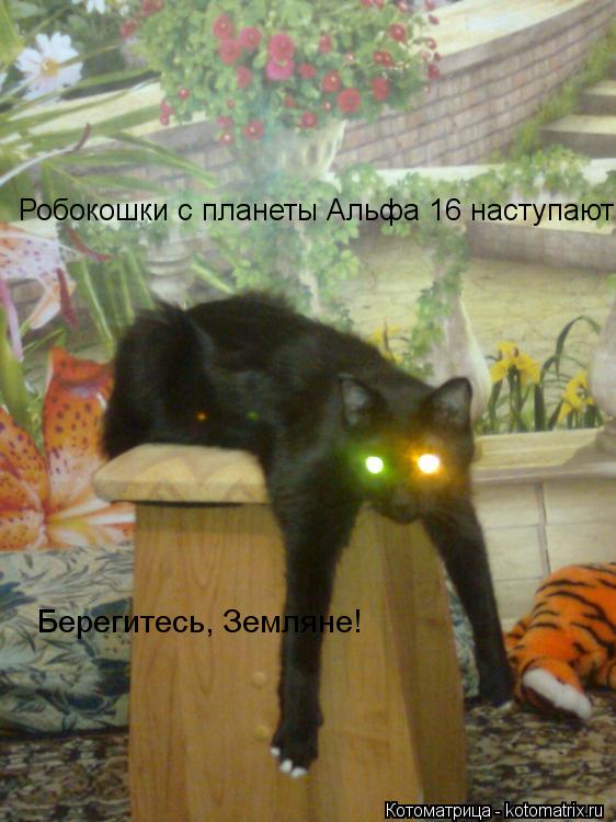 Котоматрица: Робокошки с планеты Альфа 16 наступают! Берегитесь, Земляне!