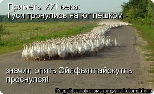 Котоматрица: Приметы XXI века: Гуси тронулись на юг пешком -  значит, опять Эйяфьятлайокутль проснулся!