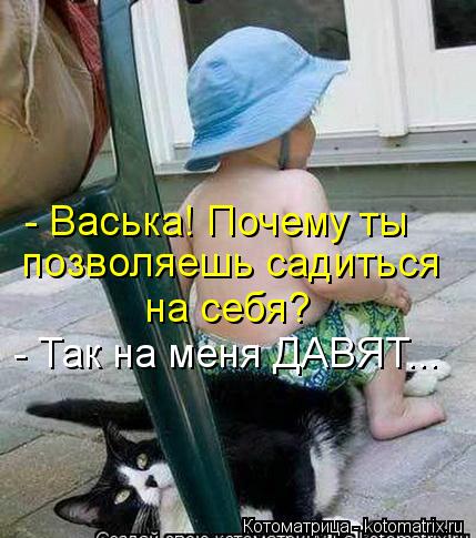 Котоматрица: - Васька! Почему ты позволяешь садиться на себя? - Так на меня ДАВЯТ...
