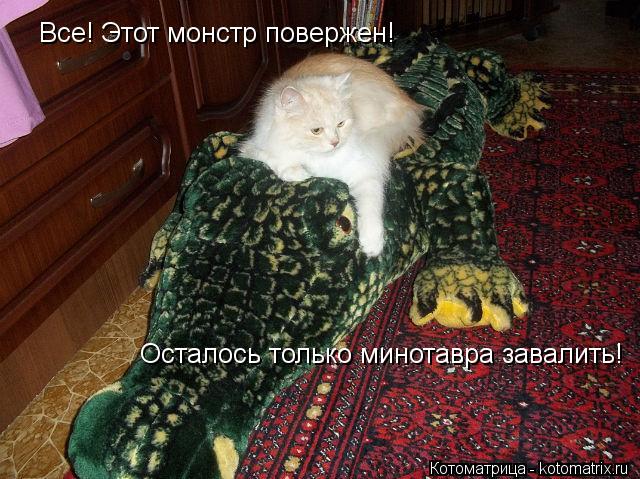 Котоматрица: Все! Этот монстр повержен! Осталось только минотавра завалить!
