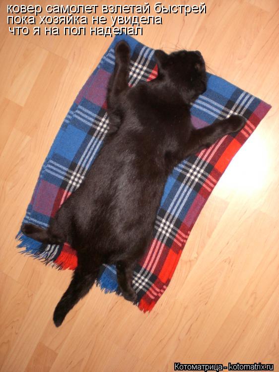 Котоматрица: ковер самолет взлетай быстрей  пока хозяйка не увидела  что я на пол наделал
