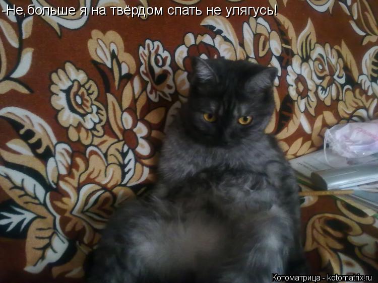 Котоматрица: -Не,больше я на твёрдом спать не улягусь!