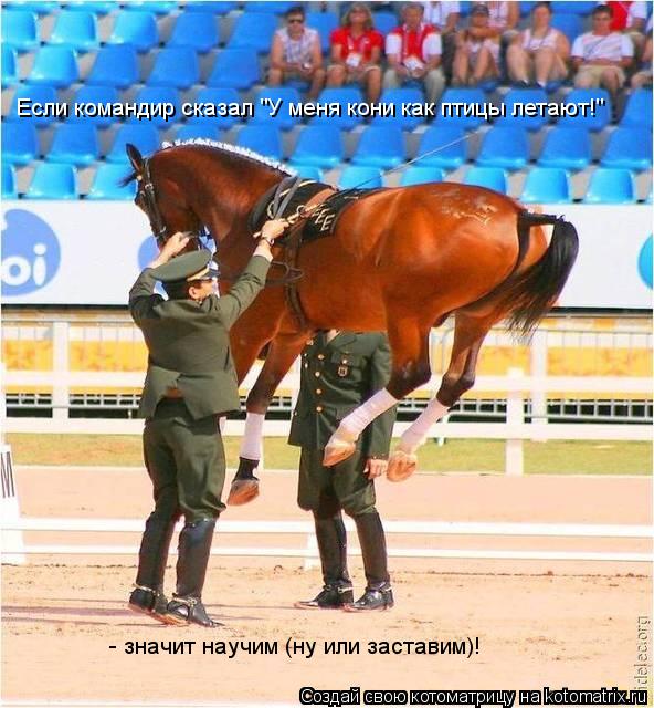 Котоматрица: Если командир сказал "У меня кони как птицы летают!" - значит научим (ну или заставим)!