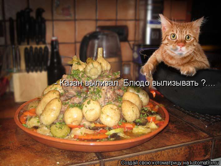 - Казан вылизал. Блюдо вылизывать ?....... Котоматрица: - Казан вылизал. Блюдо вылизывать ?....