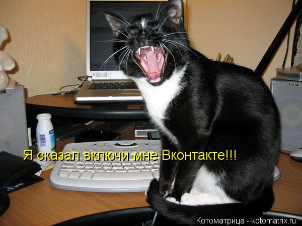Котоматрица: Я сказал включи мне Вконтакте!!!