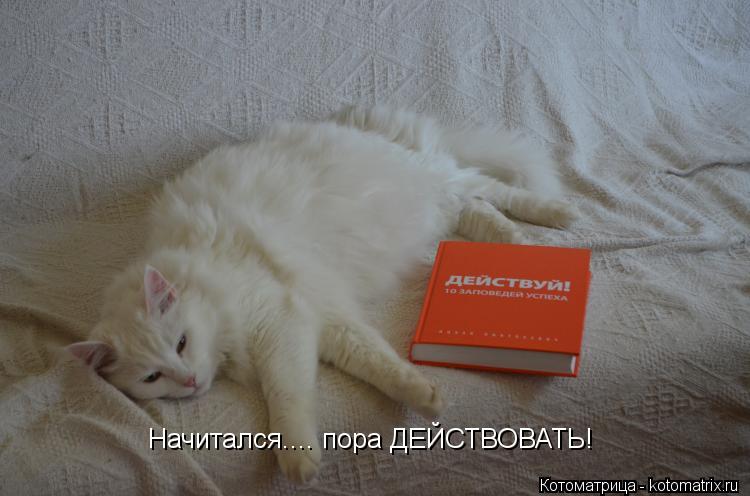 Начитался.... пора ДЕЙСТВОВАТЬ!... Котоматрица: Начитался.... пора ДЕЙСТВОВАТЬ!