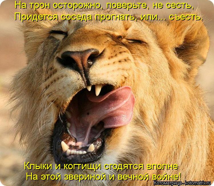 Котоматрица: На трон осторожно, поверьте, не сесть, Придется соседа прогнать, или... съесть. Клыки и когтищи сгодятся вполне На этой звериной и вечной войн