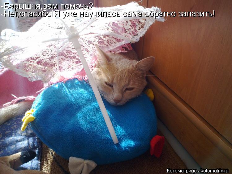 Котоматрица: -Барышня,вам помочь? -Нет,спасибо!Я уже научилась сама обратно залазить!