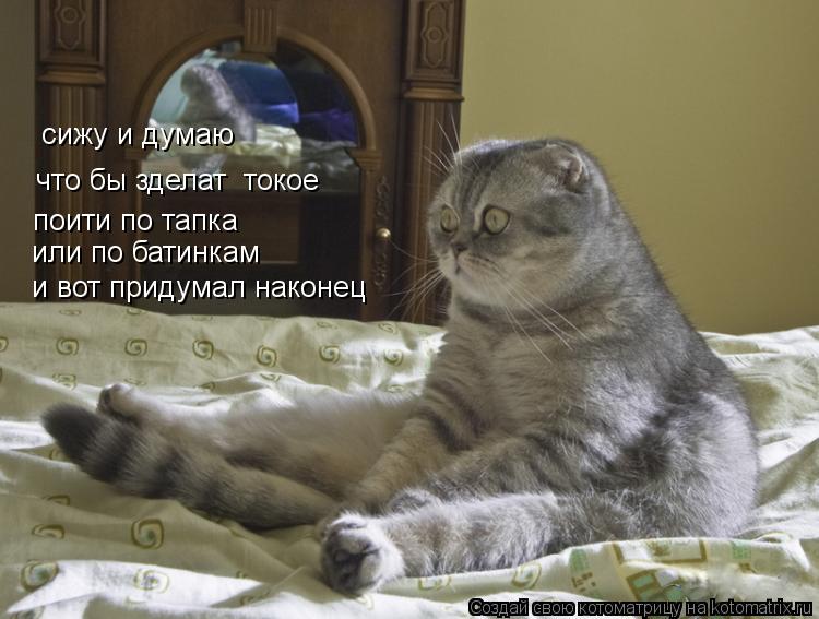 сижу и думаю что бы зделат токое поити по тапка или по батинкам и вот придумал наконец... Котоматрица: сижу и думаю что бы зделат токое поити по тапка или по батинкам и вот придумал наконец