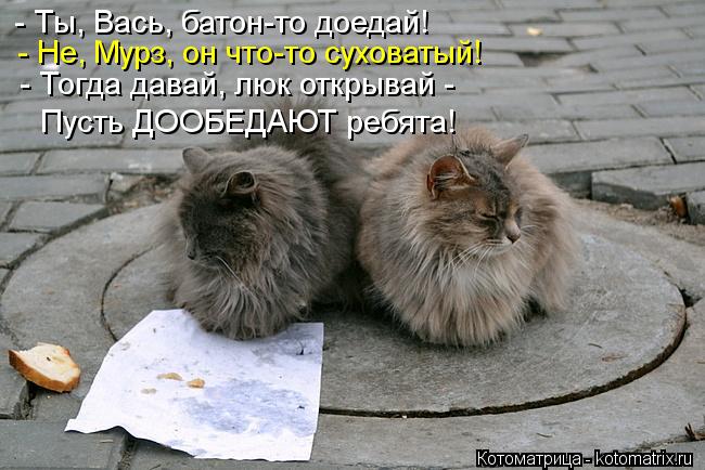 - Ты, Вась, батон-то доедай! - Не, Мурз, он что-то суховатый! - Тогда давай, люк открывай - Пусть ДОО... Котоматрица: - Ты, Вась, батон-то доедай! - Не, Мурз, он что-то суховатый! - Тогда давай, люк открывай - Пусть ДООБЕДАЮТ ребята!