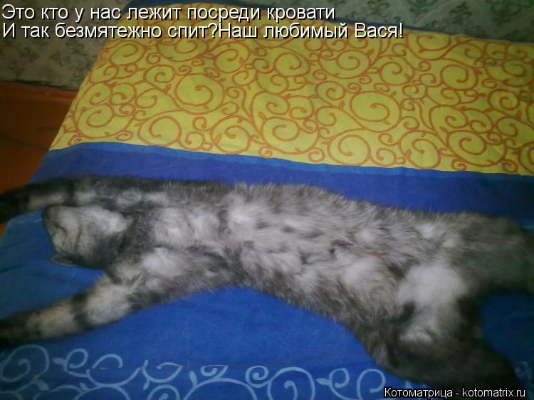 Котоматрица: Это кто у нас лежит посреди кровати И так безмятежно спит?Наш любимый Вася!