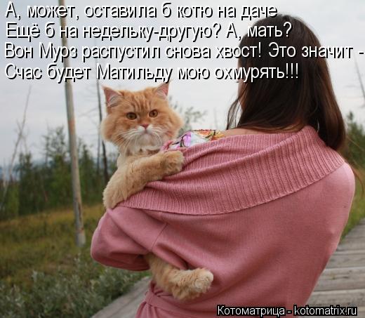 Котоматрица: А, может, оставила б котю на даче Ещё б на недельку-другую? А, мать? Вон Мурз распустил снова хвост! Это значит - Счас будет Матильду мою охмуря
