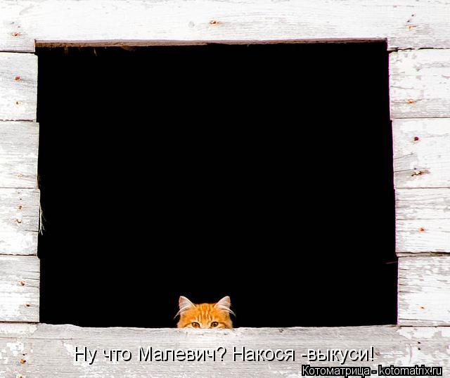Котоматрица: Ну что Малевич? Накося -выкуси!