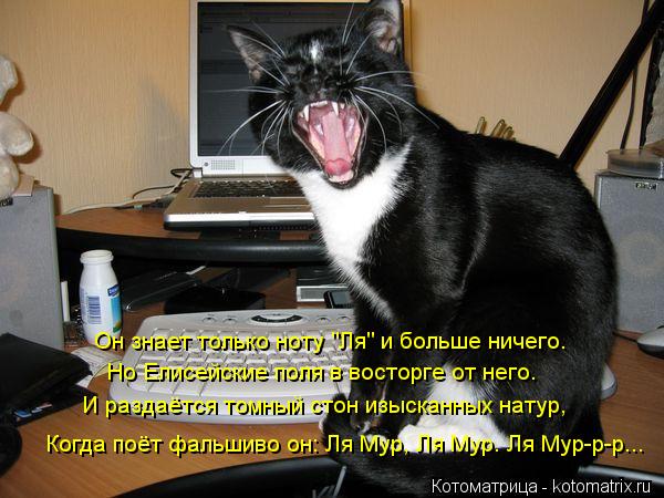 Котоматрица: Он знает только ноту "Ля" и больше ничего. Но Елисейские поля в восторге от него. И раздаётся томный стон изысканных натур, Когда поёт фальши